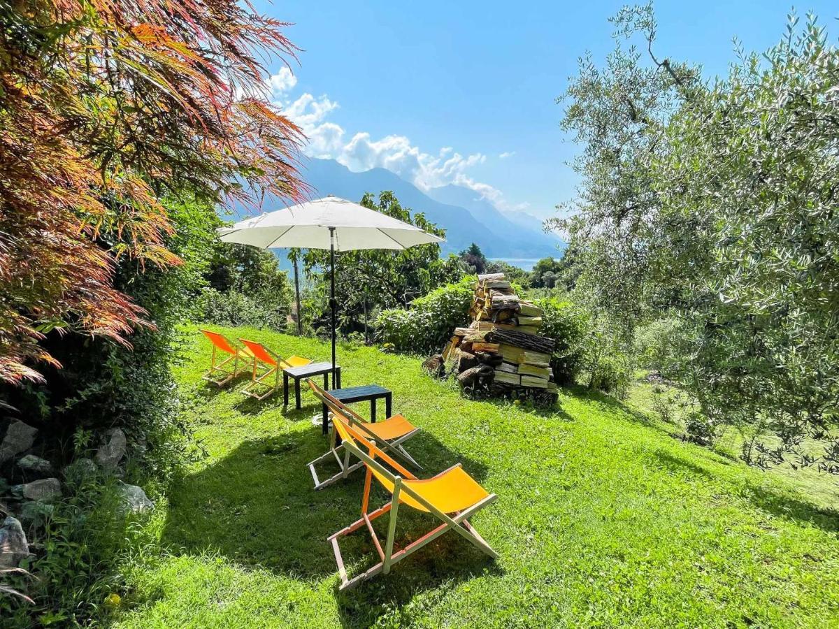 Breva Loft Tra Gli Ulivi Ed Il Lago Bellagio Exteriör bild