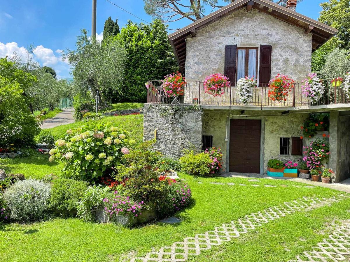Breva Loft Tra Gli Ulivi Ed Il Lago Bellagio Exteriör bild