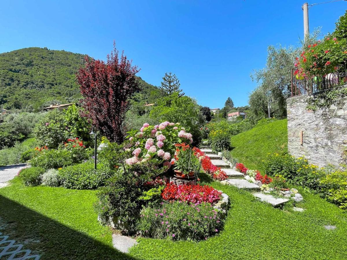 Breva Loft Tra Gli Ulivi Ed Il Lago Bellagio Exteriör bild