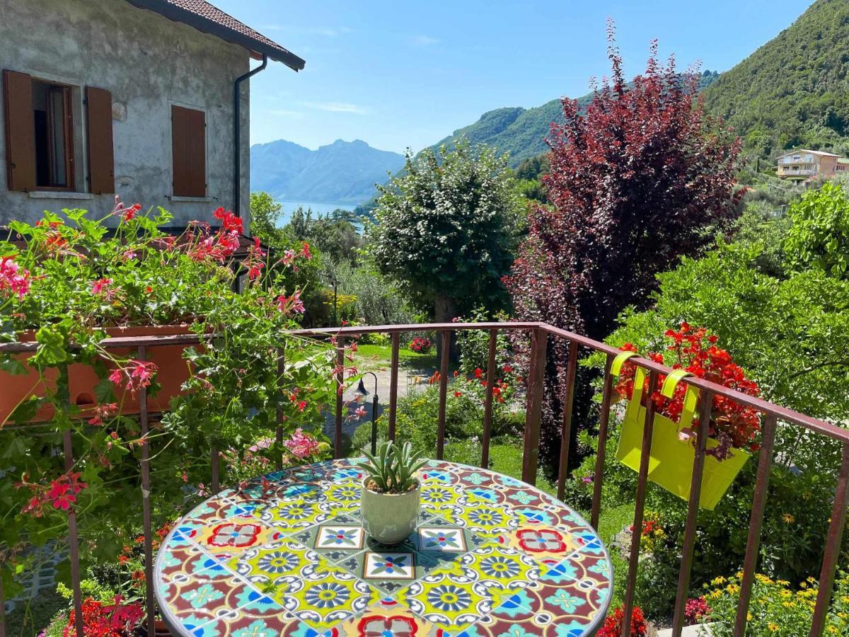 Breva Loft Tra Gli Ulivi Ed Il Lago Bellagio Exteriör bild
