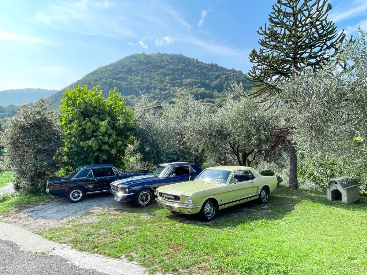 Breva Loft Tra Gli Ulivi Ed Il Lago Bellagio Exteriör bild